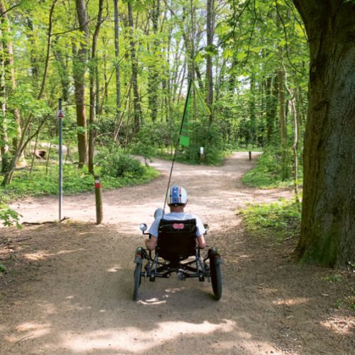 trike